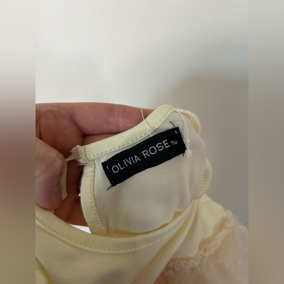 NWT Olivia Rose Indigobaby X Tulle Overlay Dress, 3-6 Months - Picture 7 of 8